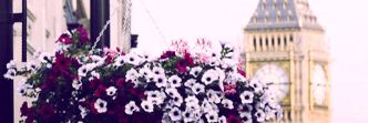 Frez_92's profile banner image