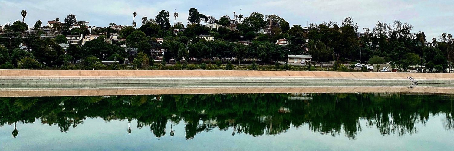 Linas Phillips banner