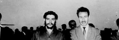 صفية دداش banner