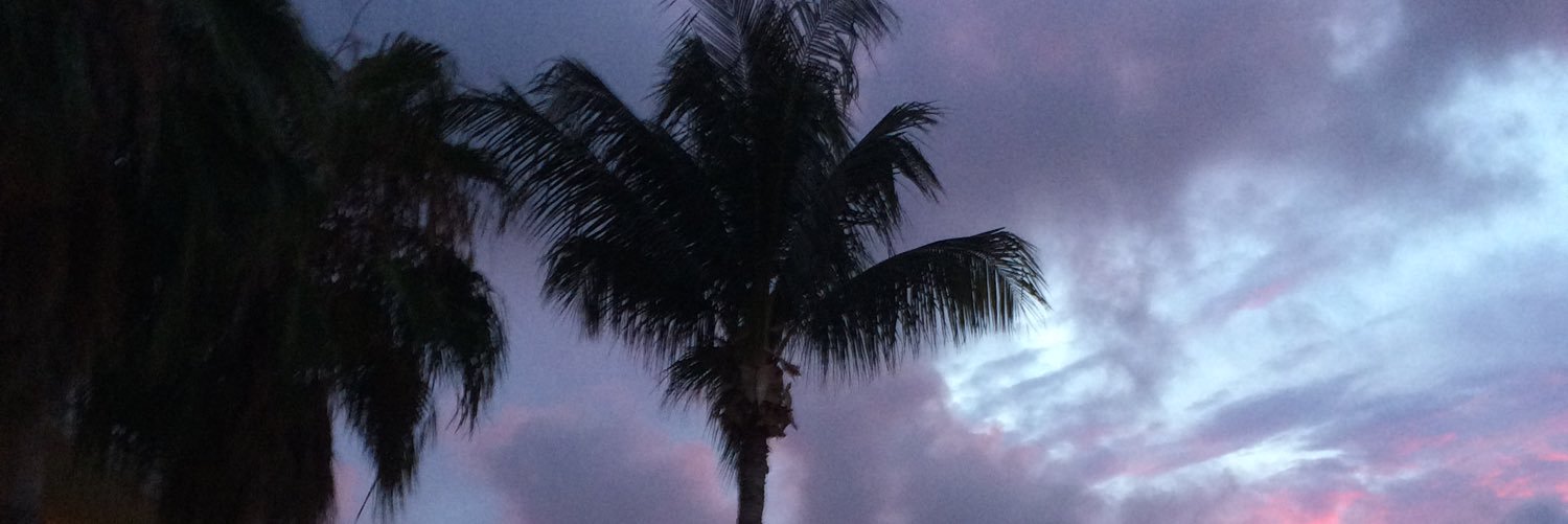 EmilyMathies's profile banner image