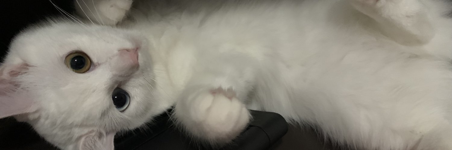 ゆちはむ🐹 banner