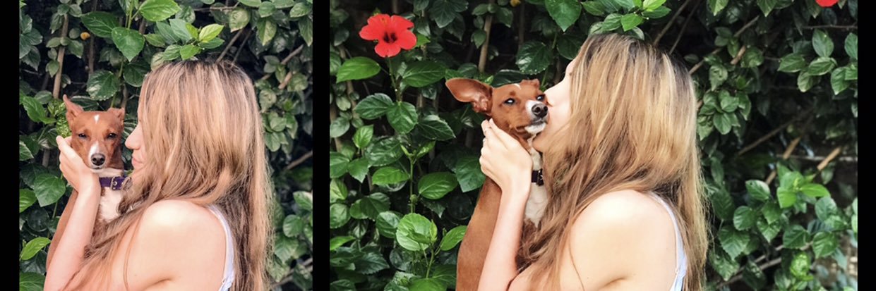 CarlaaLauri's profile banner image