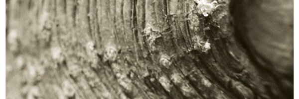 dextro_transmit Profile Banner