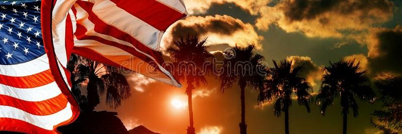PalmTreeGirl1776 banner