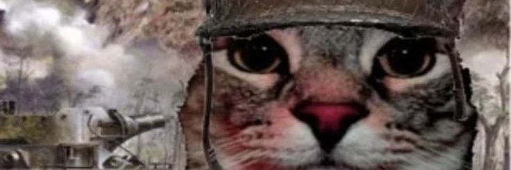 derpsnow's profile banner image
