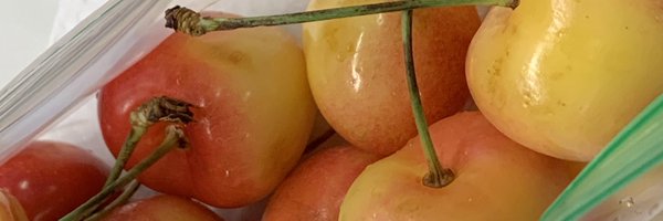 hahnbeeIee Profile Banner