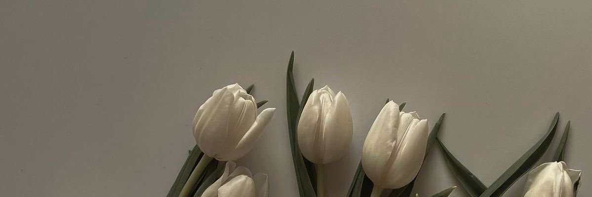 Ke_a2's profile banner image