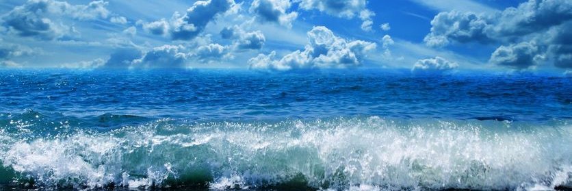 OceanSocietyofIndia banner