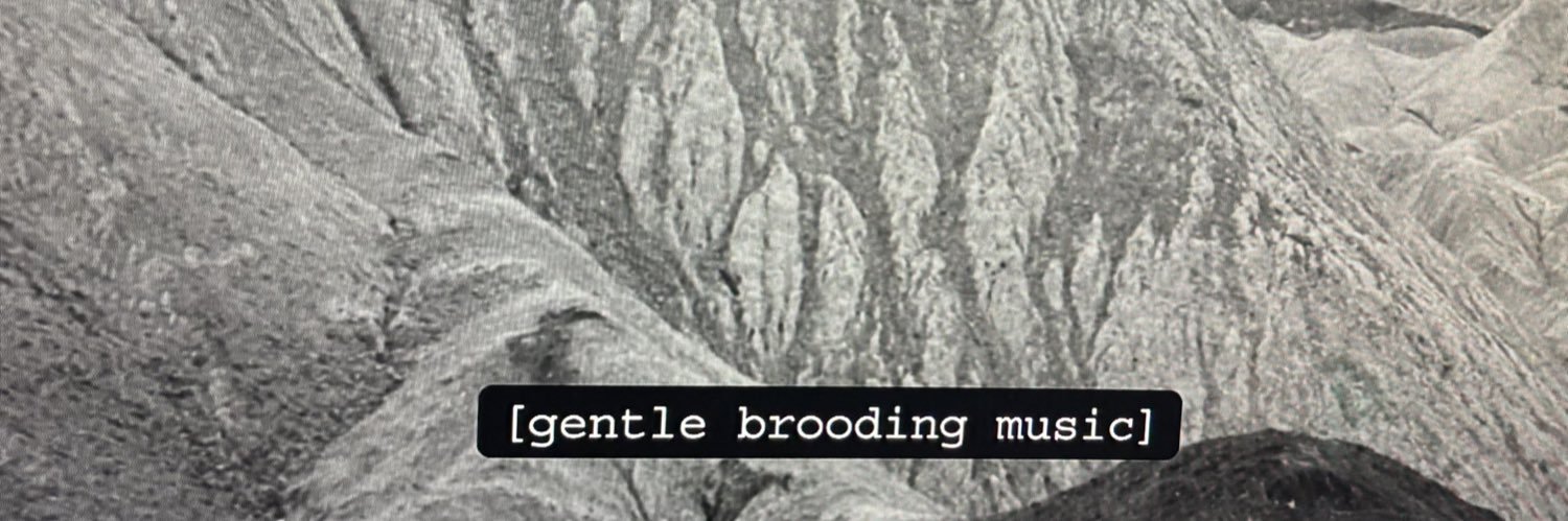 MeltingSunlight's profile banner image