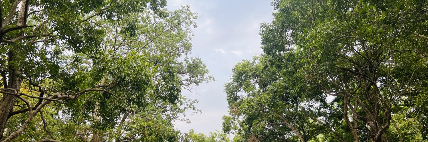 AdityaMayankSi1's profile banner image