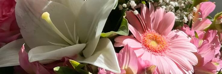 nxeicma's profile banner image