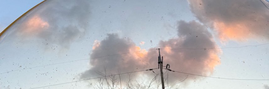 bby🦁 banner