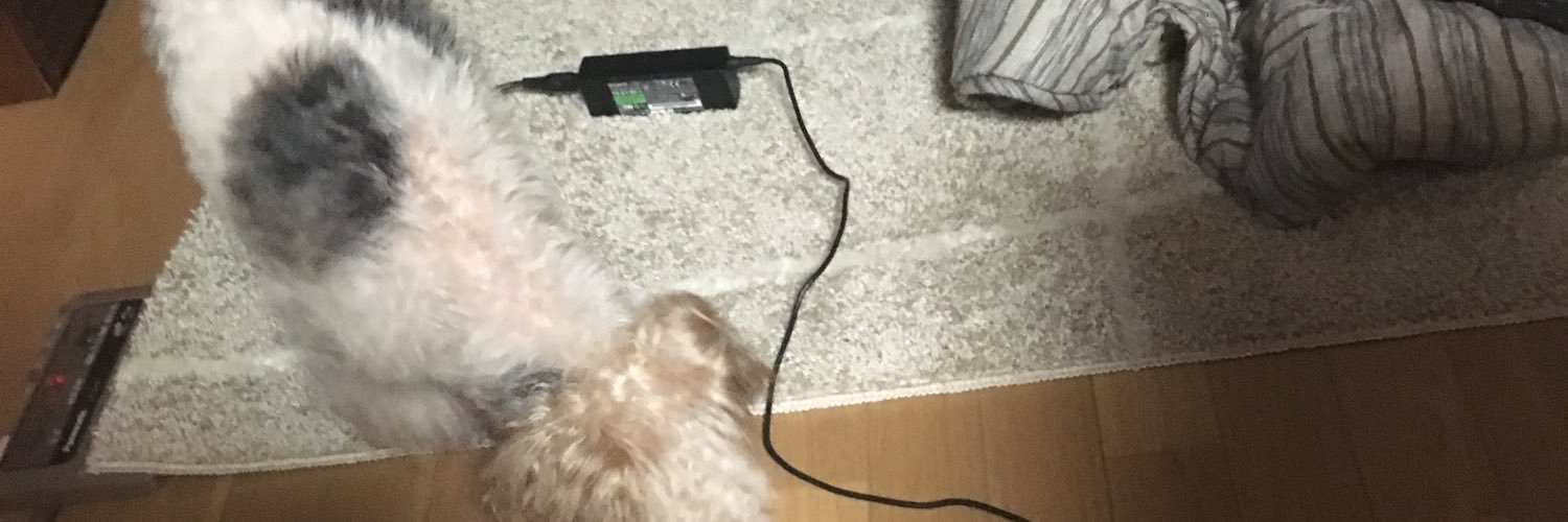 tkyshn's profile banner image