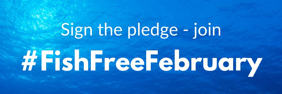 Fish Free February banner