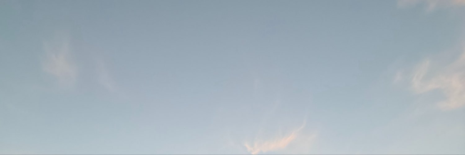 sosyomerve's profile banner image
