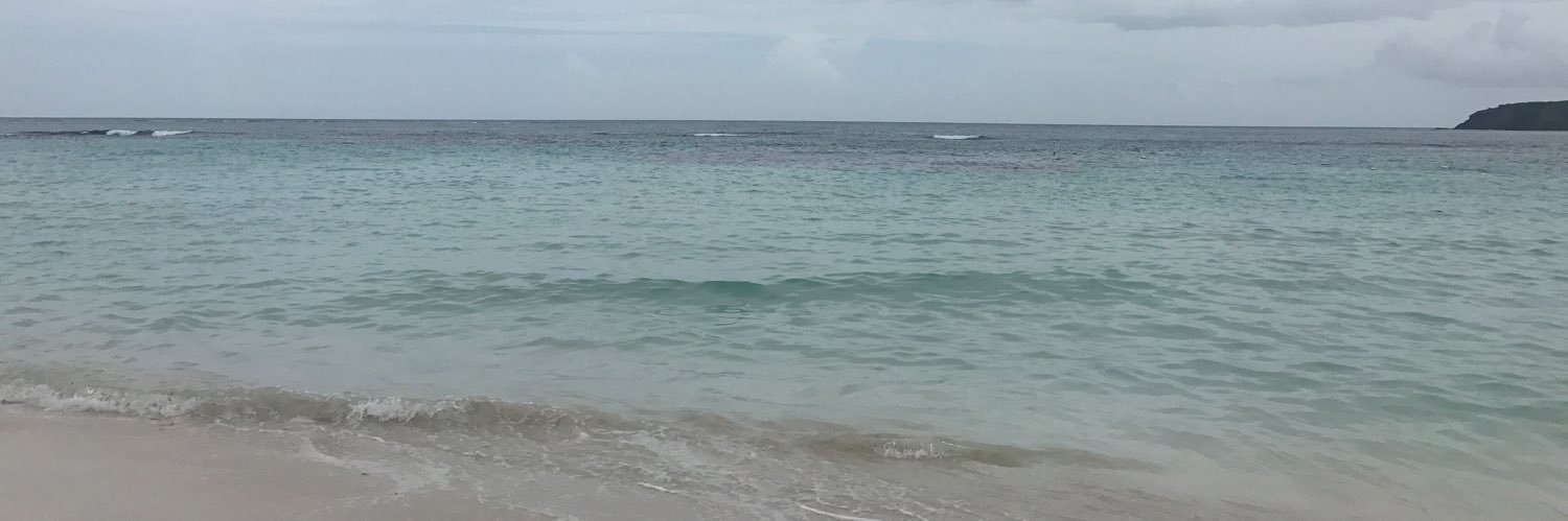 rosalycorrea's profile banner image