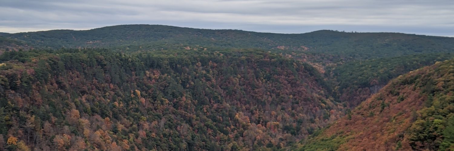 Seaniferr banner
