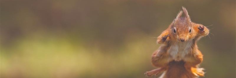 BASCnews's profile banner image