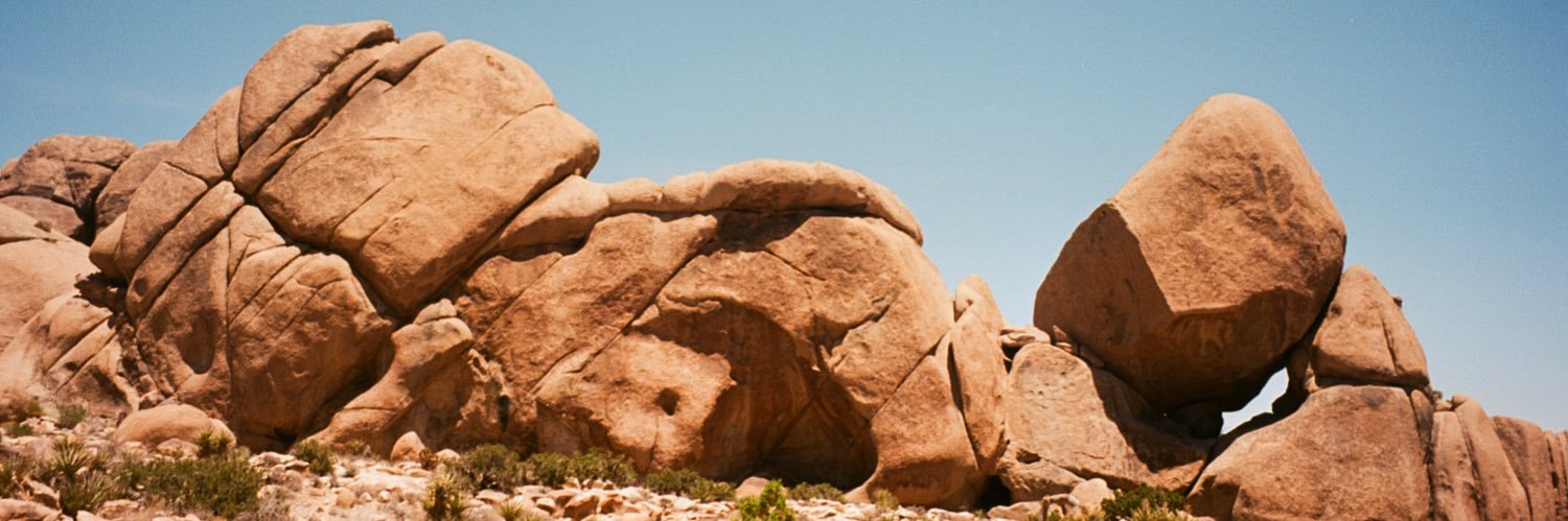 daileycline's profile banner image