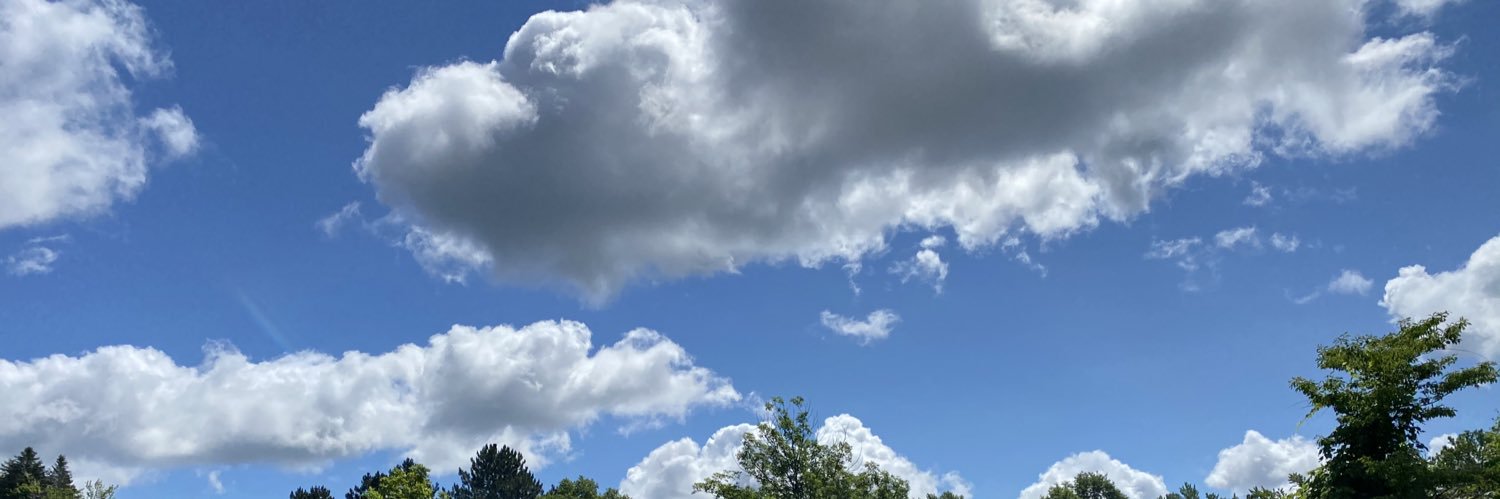cschenks1's profile banner image