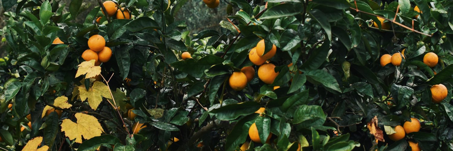 gubblebum01's profile banner image