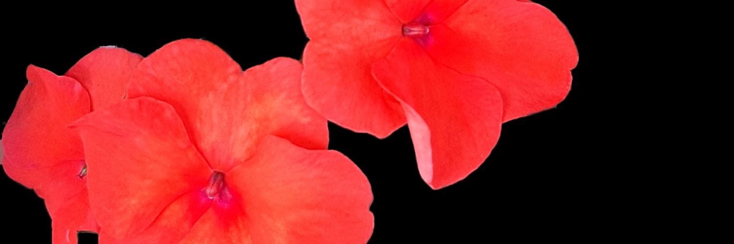arunpathakindia's profile banner image