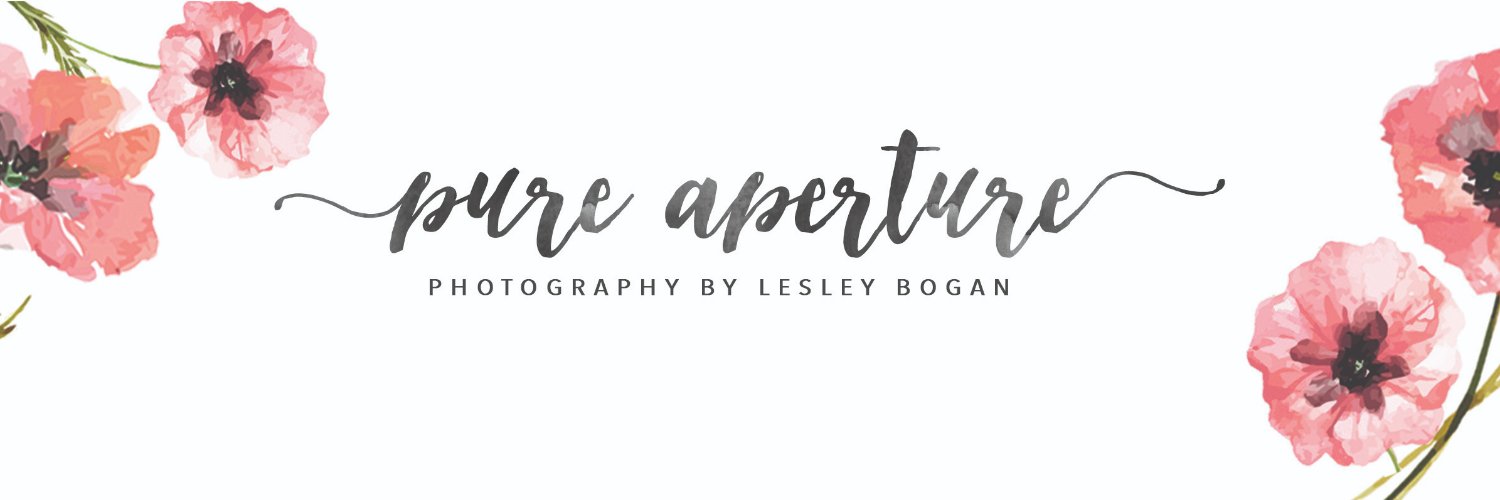 PureAperture's profile banner image