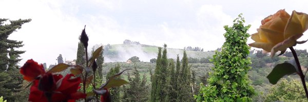 orchidee_vanda Profile Banner