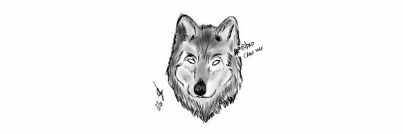 badchriswolf's profile banner image