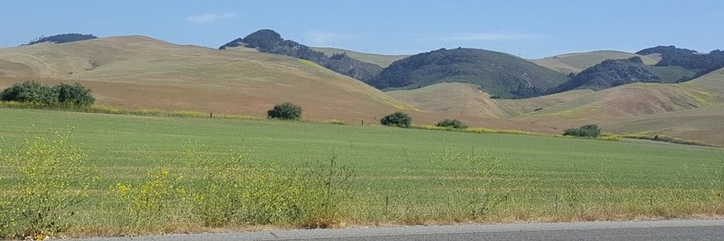 AlleyCatRanch 🇺🇦 banner