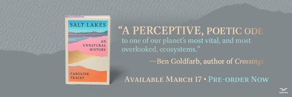 ce_tracey Profile Banner