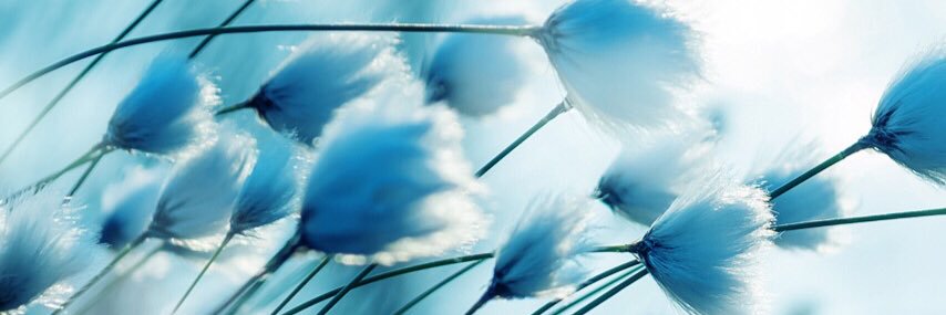 MaoSui's profile banner image