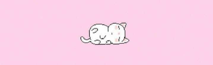 pastelshine11's profile banner image