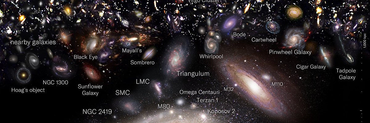 محمد الشمري banner