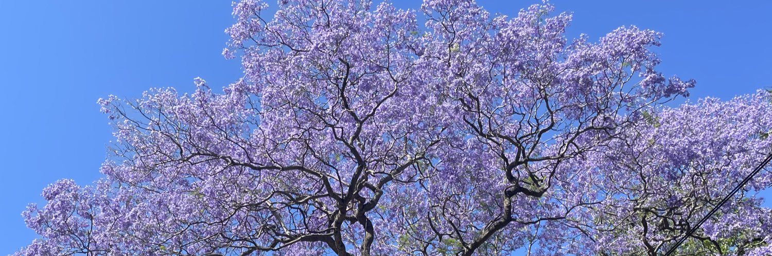 Hey George 👀 banner