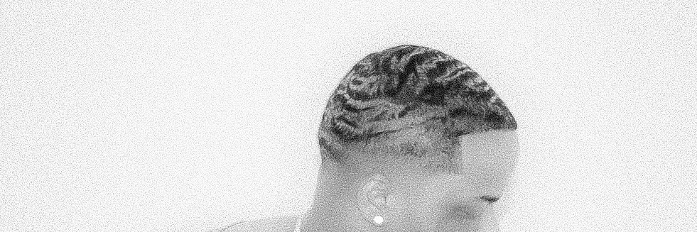 Lequan banner