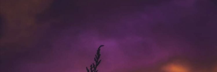 SamanthaofSarcasm's banner