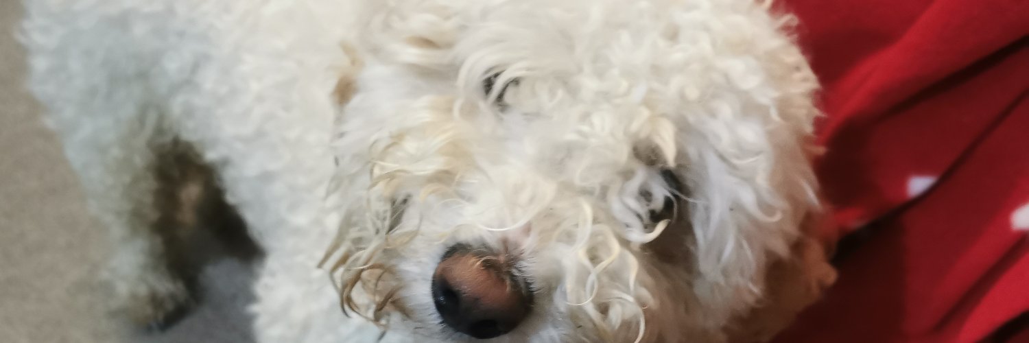 EdiePeters13's profile banner image