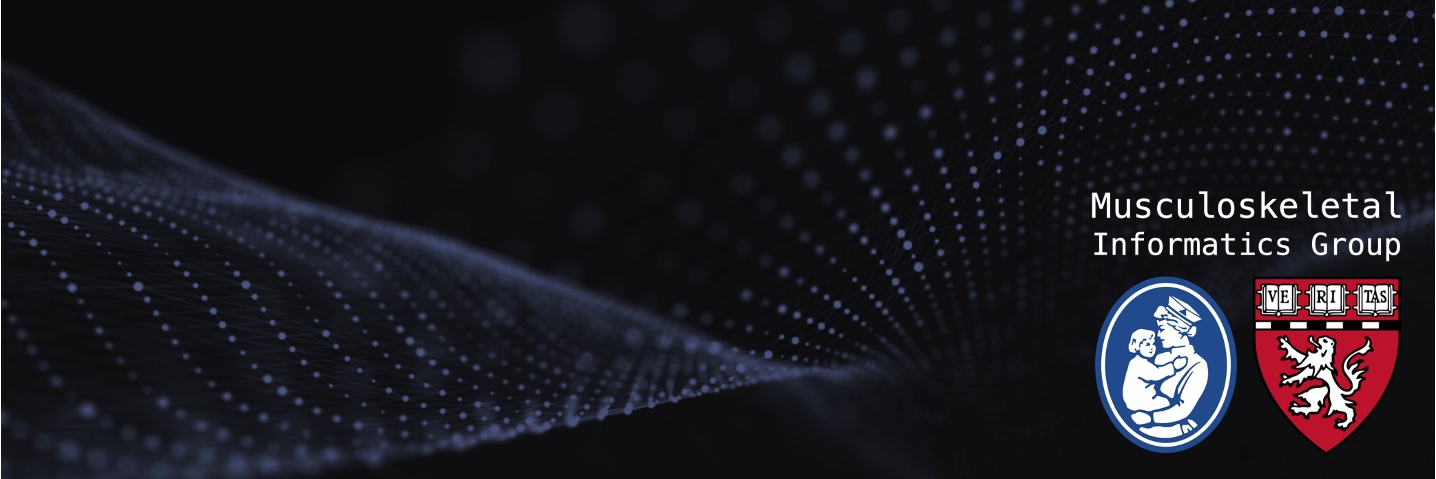 Musculoskeletal Informatics Group banner