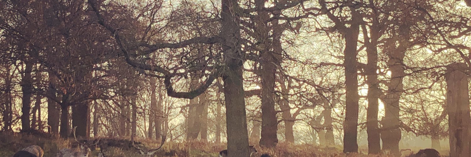 Sir Tillerbear banner