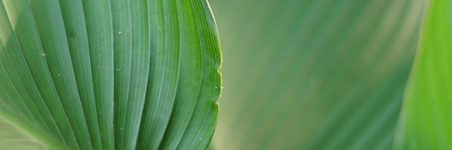 __gepeng's profile banner image
