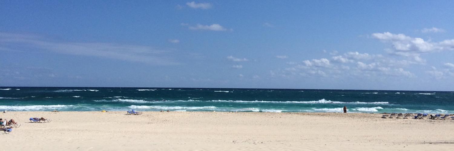 carolinagirlblu's profile banner image