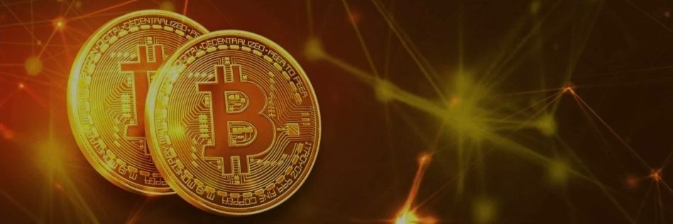WariCrypto's profile banner image