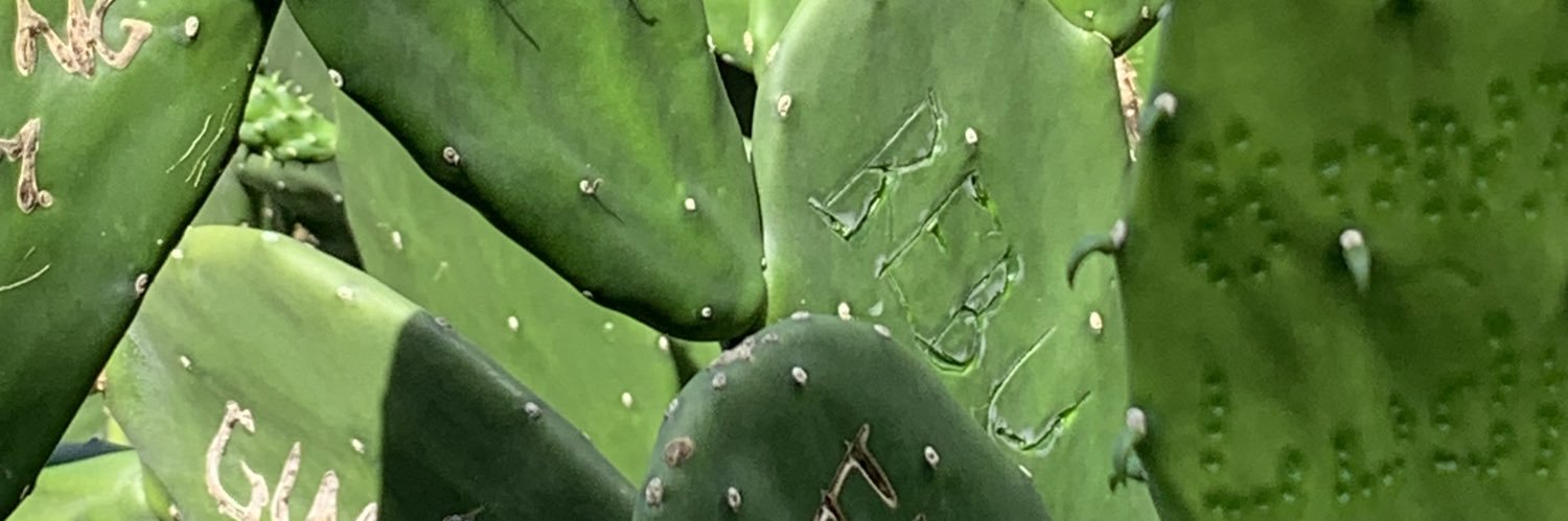 tetakeeem's profile banner image