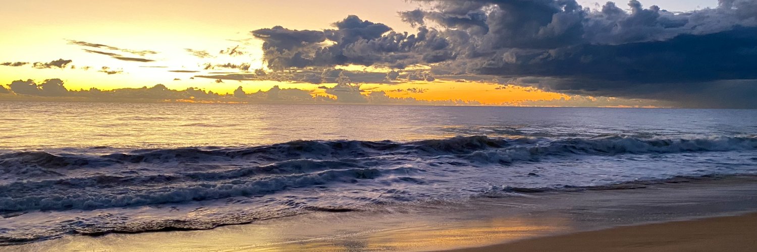 Peter Christie banner