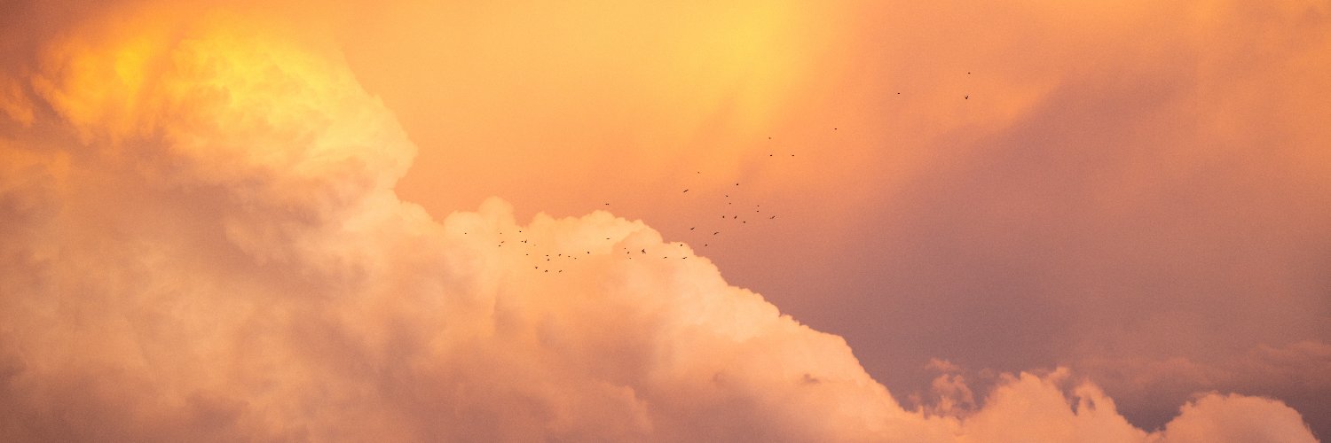 PYORORINe's profile banner image