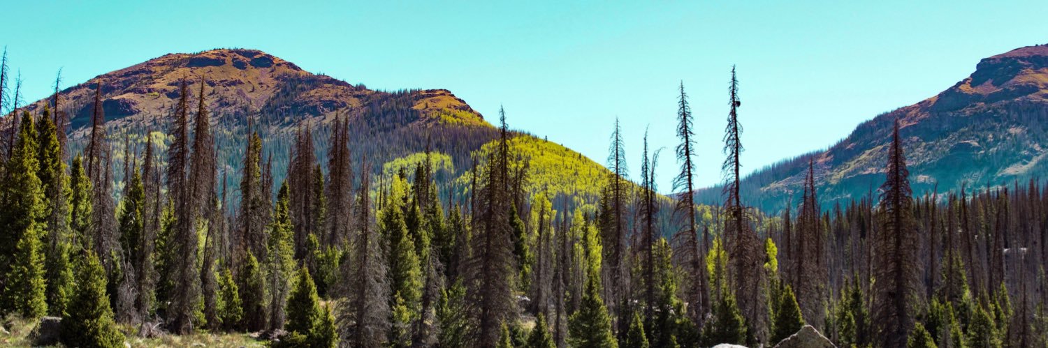 Seasquatch Outdoors banner