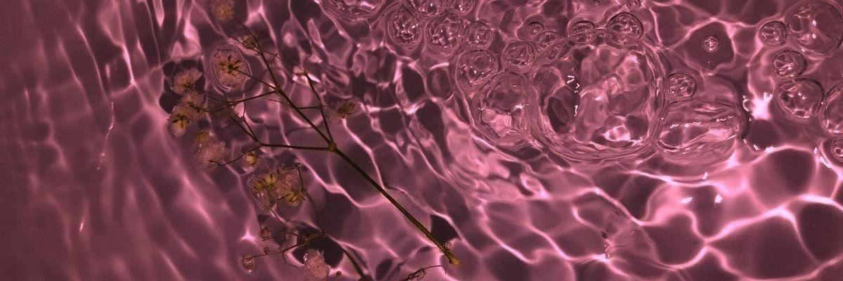 lisha✨🥀's banner