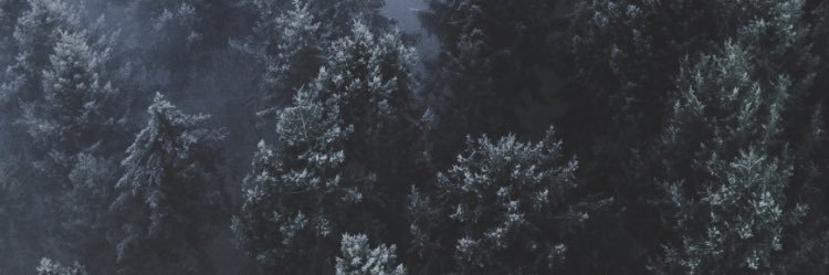 mudcatchris's profile banner image