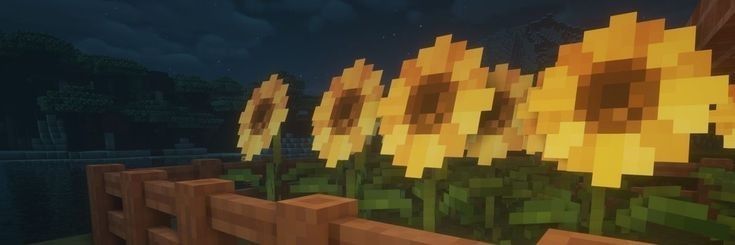 Calithra Albrecht banner
